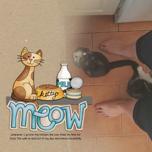 Meow
