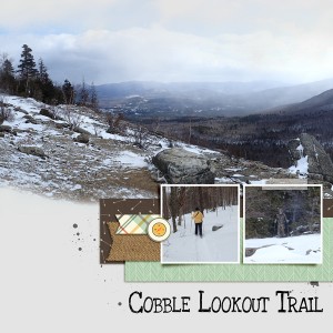 2017_Cobble_Lookout