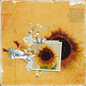 Amazing Blooms