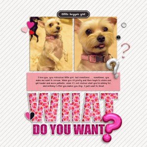 What Do You Want? (Random Challenge, Feb 2017)