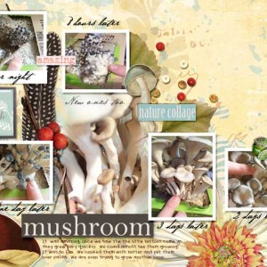 mushrooms