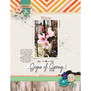 Signs of Spring