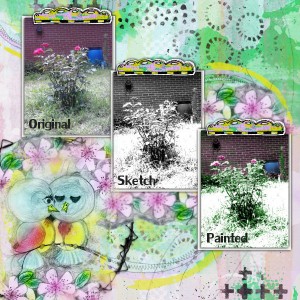 Sketchy Roses