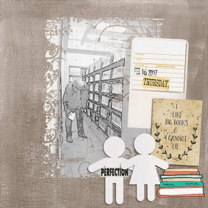 Display_lib4
