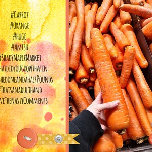 Carrot-copy