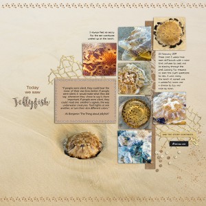Jellyfish