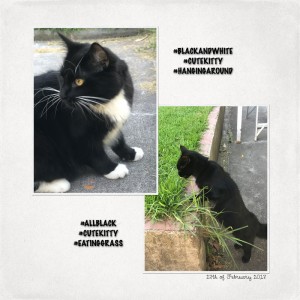 Inspiration challenge - hashtags