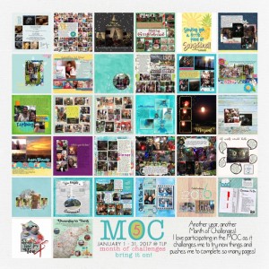Month Of Challenges Overview 2017