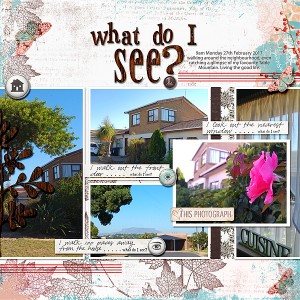 WhatDoISee?