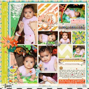 JJ Mar 2017 Storyteller Jungle Mat
