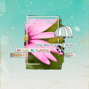 no rain, no flowers