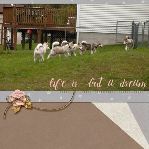 Life is But a Dream - March Style Challenge