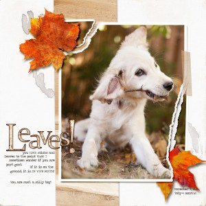 Leaves!