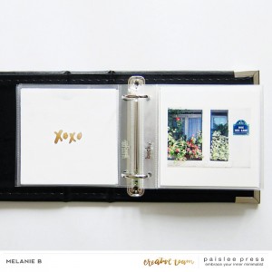Paris mini-album VII