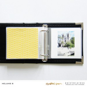 Paris mini-album IX