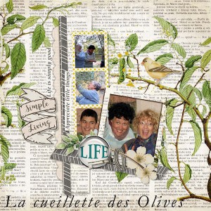les olives