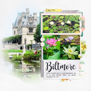 March 2017 Style Challenge - Biltmore