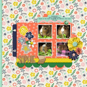 Piggysitting-Sophie