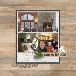 Cabin In The Woods