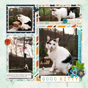 Good Kitty