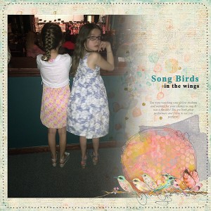 Song Birds