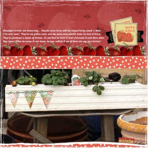 Berry Sweet Web