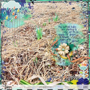 Signs Of Spring