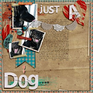 Just A DOG