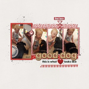 Good-dog