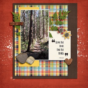 20170306_Take the trails
