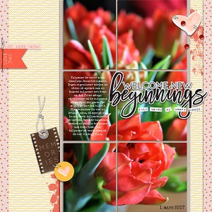 Welcome new beginnings