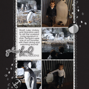 Cayton-penguins-web