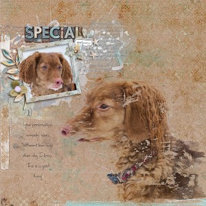 Special Quirkiness