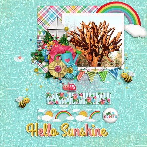 Hello Sunshine