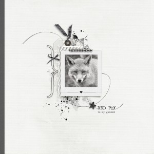 Red Fox