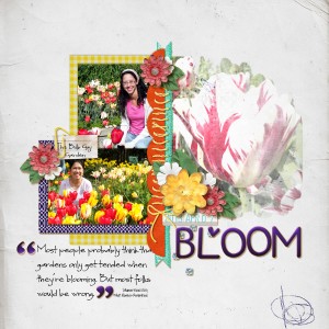 Bloom