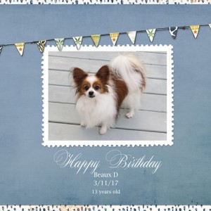Happy-Birthday-Beaux-D-3-11-17