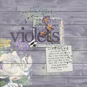 wild violets