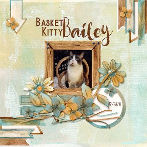 Basket_kitty