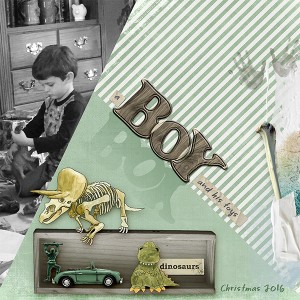 Boy & His Toys