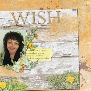 wish