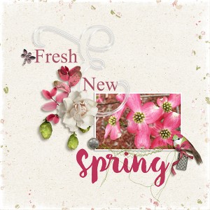 Fresh and New