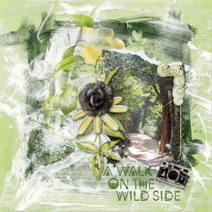 A Walk on the Wild Side