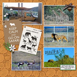 Safari-Details