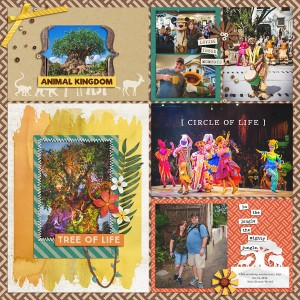 Animal Kingdom Highlights
