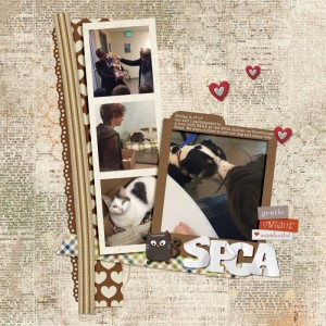 March template - spca