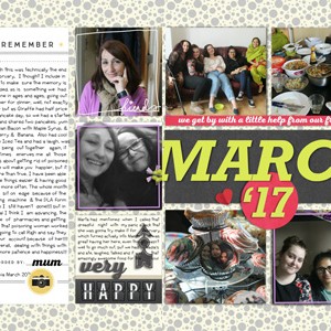 MarchInRev17_Merged