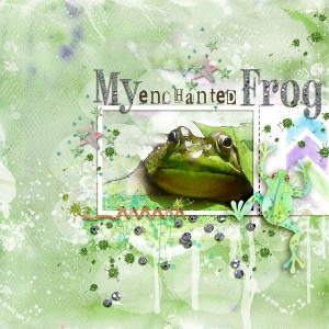 My Enchanted Frog