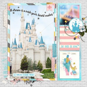 Cinderella's Castle