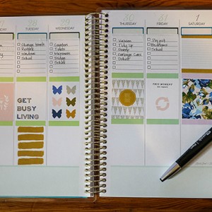 Renew-Planner-Layout